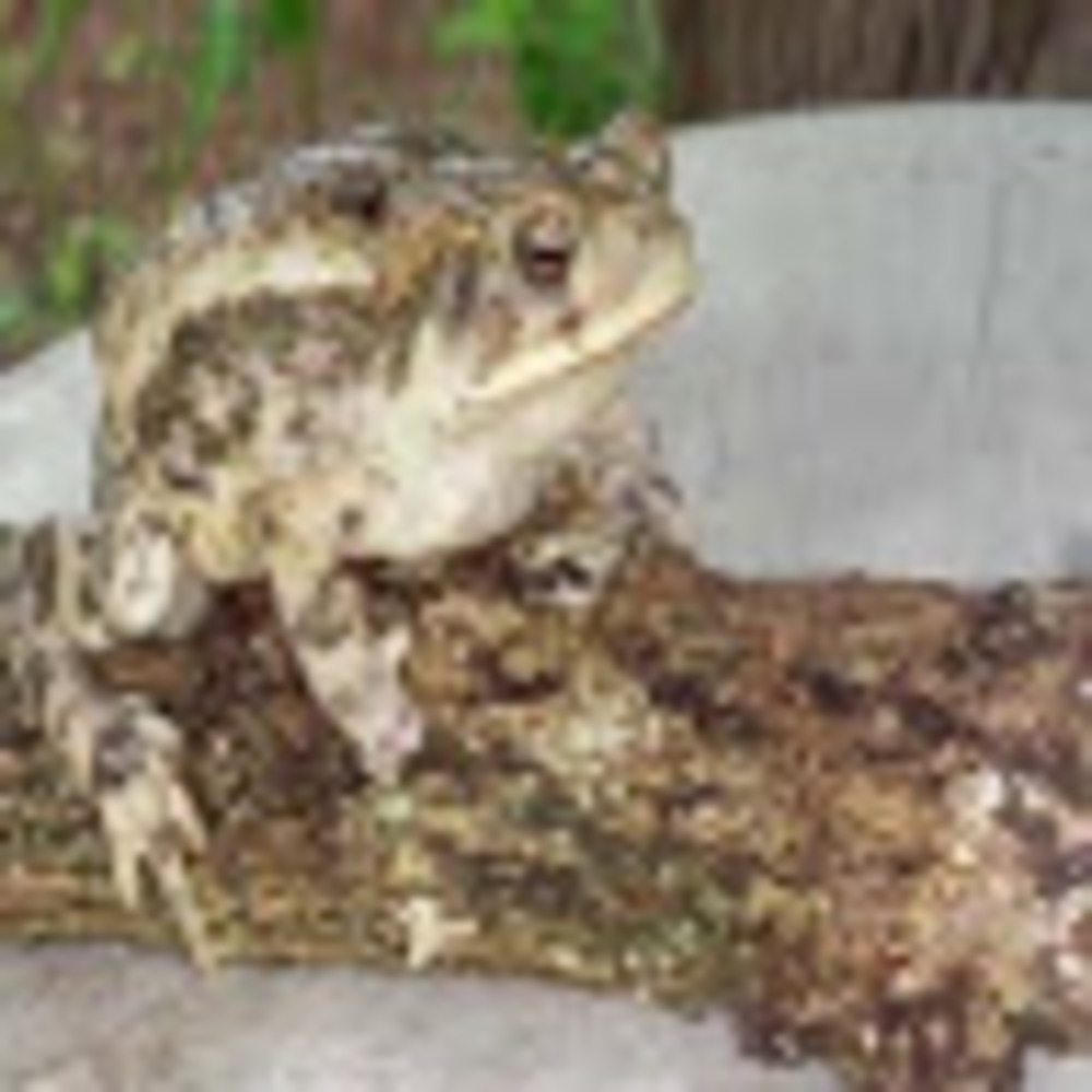 Meet your Posher, Gina